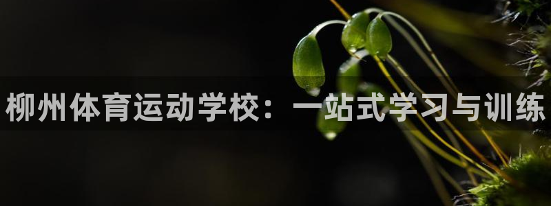 3377体育官方app下载