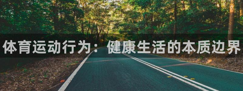 3377体育全网