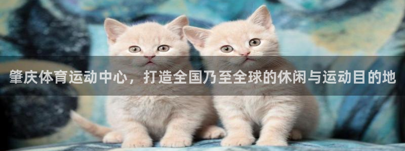3377体育是正规的吗