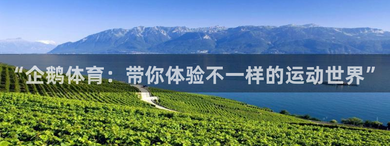 3377体育网页登录入口