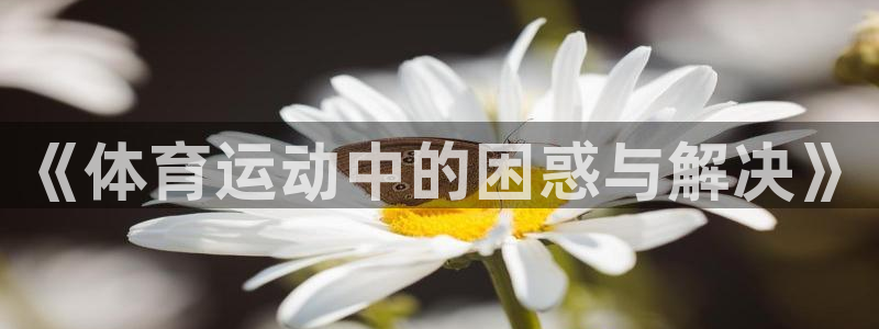 3377体育手机平台