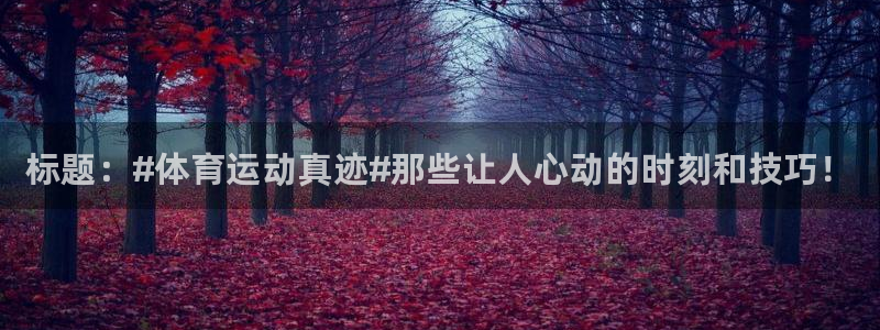 3377体育官网