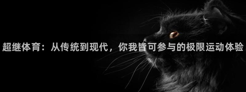 3377体育官网入口网页版