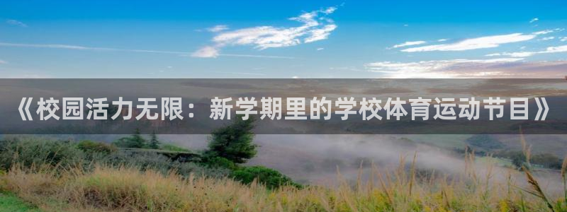 3377体育是正规的吗