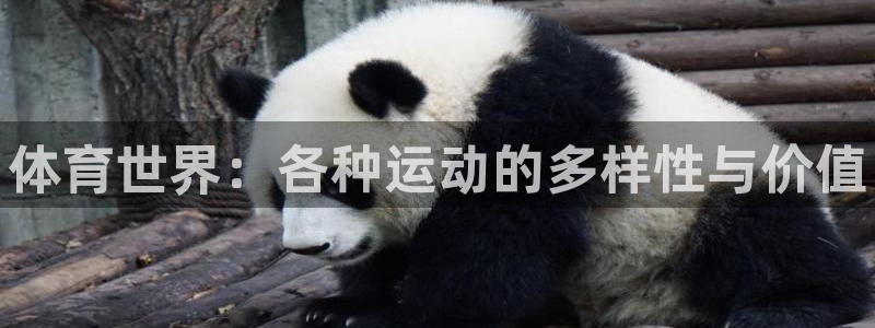 3377体育中国官方网站入口