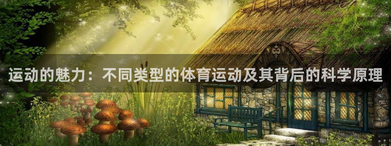 3377体育app下载安装