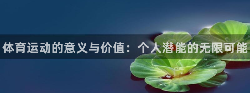 3377体育