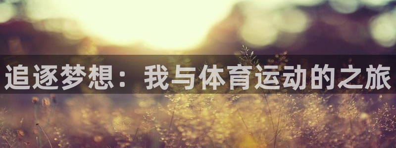 3377体育官网下载