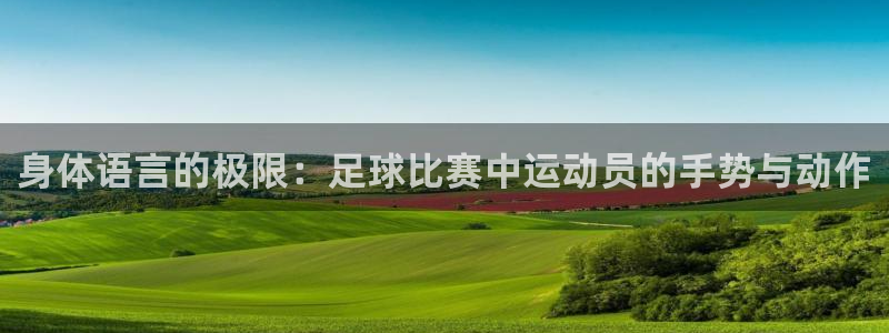 3377体育(中国)官方网站