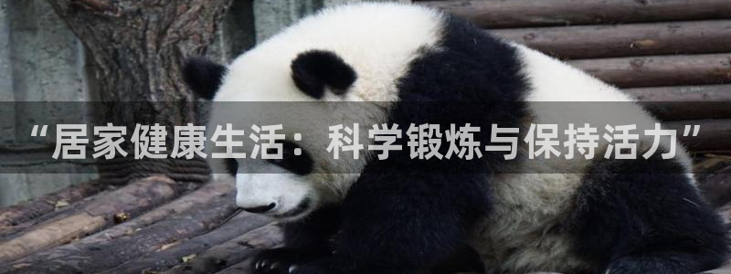 3377体育在线登录官网入口