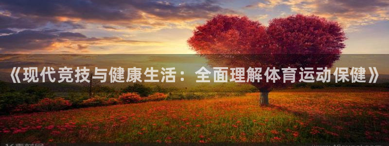 3377体育官网下载