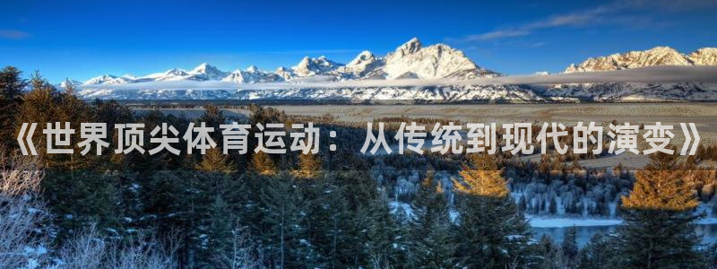 3377体育是正规平台吗